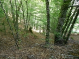 Clicca qui per vedere l'immagine in dettaglio